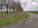 La Vignette